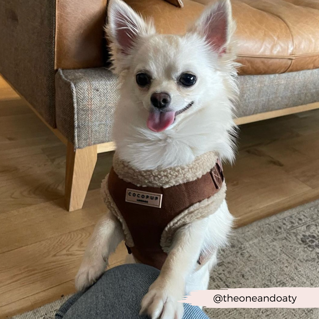 Adjustable Neck Dog Harness, Brown Faux Suede Walking Vest with Soft Fluffy Trim in XXS to Large Sizes source image 28