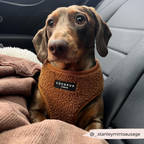 Adjustable Neck Dog Harness in Teddy Texture, Lightweight Walking Vest for XXS to Large Dogs source image 28
