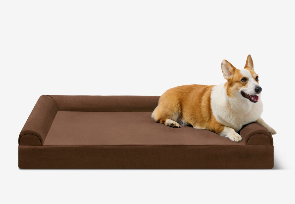 Orthopedic Dog Bed for Small and Medium Dogs, 4-Inch Layered Foam in Headrest and Sofa Styles source image 28