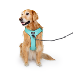 Crash-Tested Dog Car Safety Harness product image 28