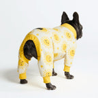 Dog Pajamas product image 28