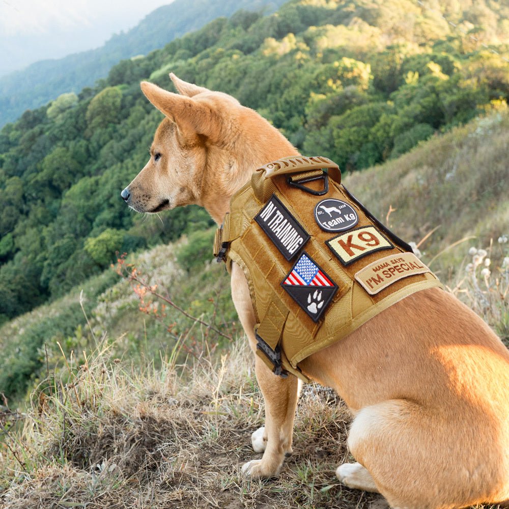 Heavy-Duty Tactical No-Pull Dog Harness with Dual D-Ring Control and Quick-Release Metal Buckles product image 29