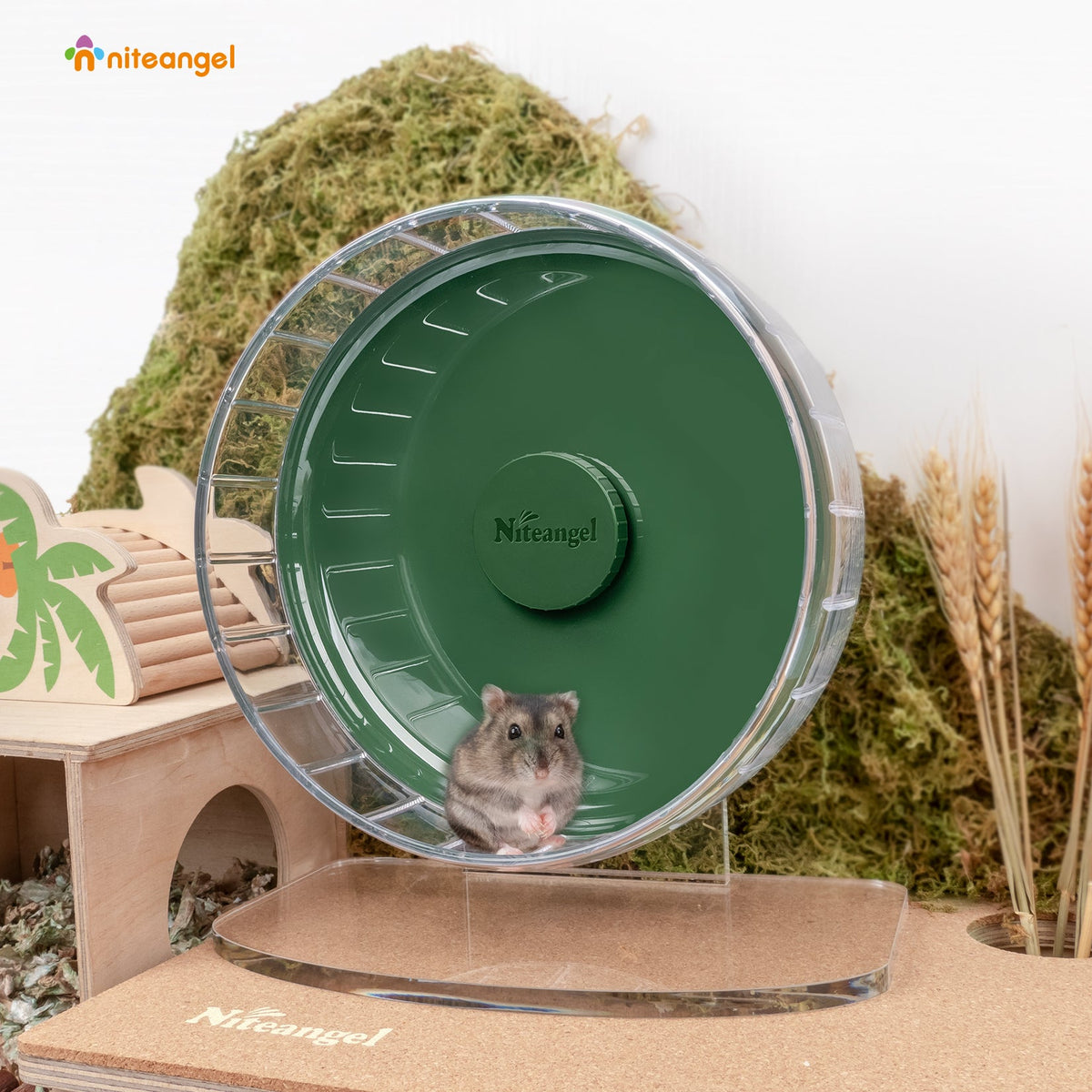 Super-Silent Hamster Exercise Wheel with Adjustable Height and Dual-Bearing Spinner in Four Sizes source image 29