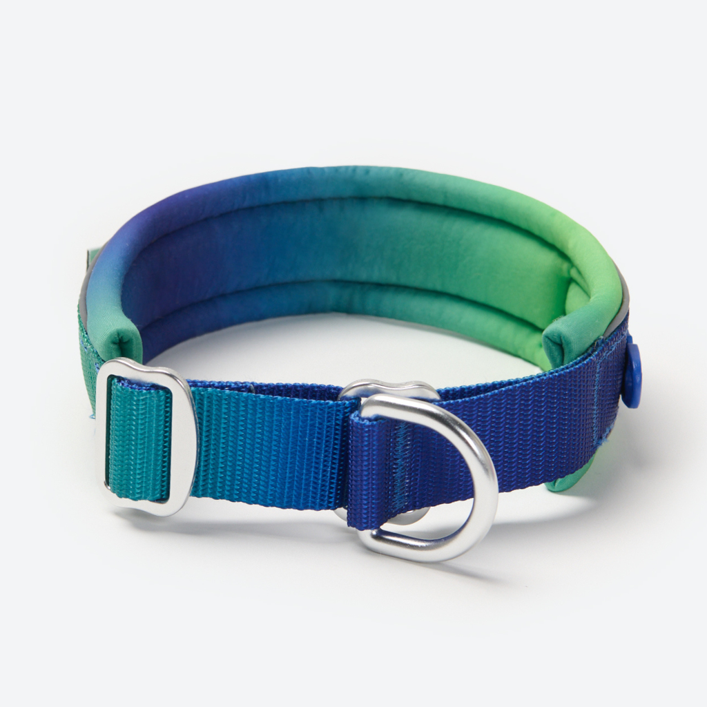 Cushioned Martingale Dog Collar for Gentle Leash Guidance, Limited-Cinch Design in Five Sizes source image 29