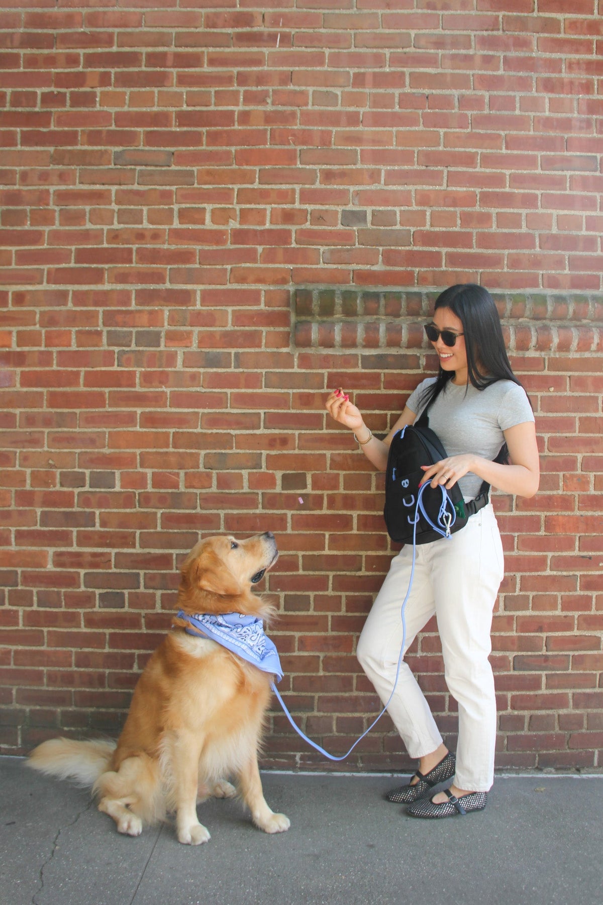 Waterproof Dog Walking Shoulder Bag, Organized Treat and Waste Storage for Training and Daily Outings source image 29