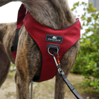 Crash-Tested Dog Car Safety Harness product image 29