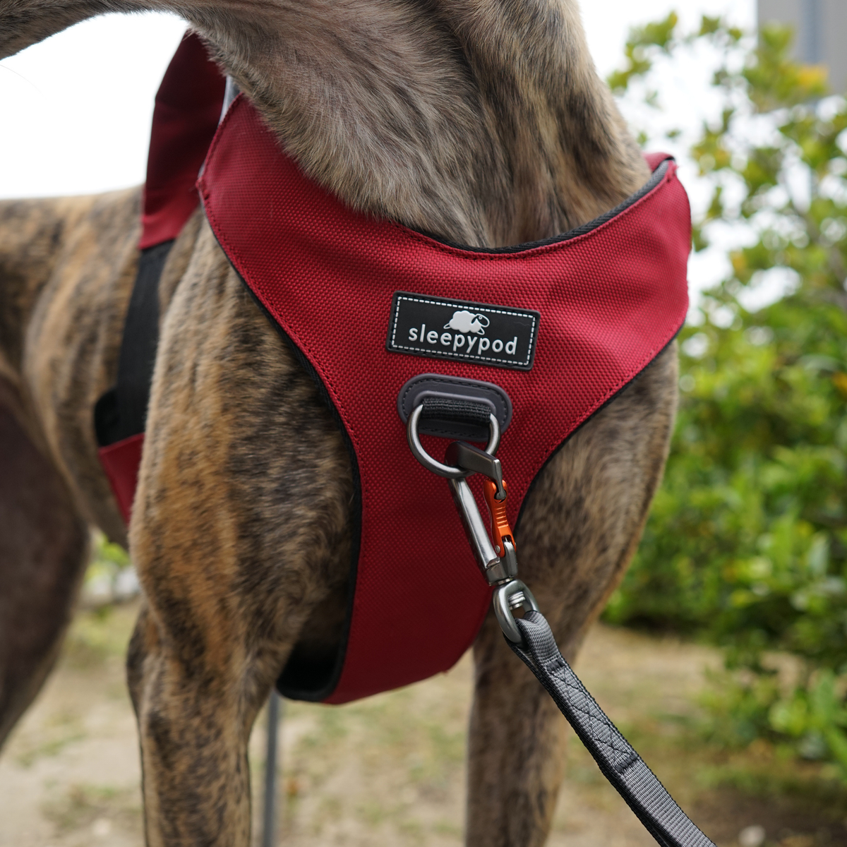Crash-Tested Dog Car Safety Harness product image 29