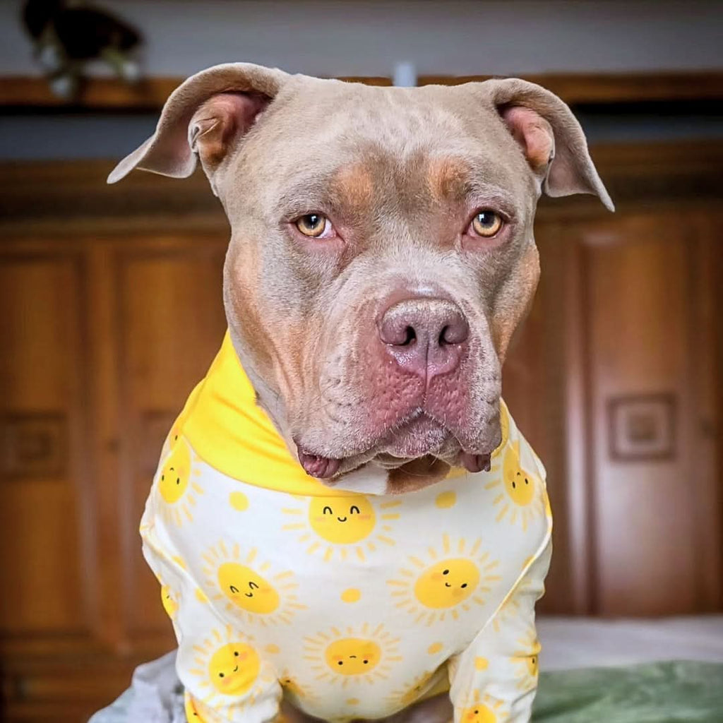 Dog Pajamas product image 29