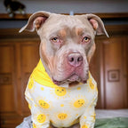 Dog Pajamas product image 29