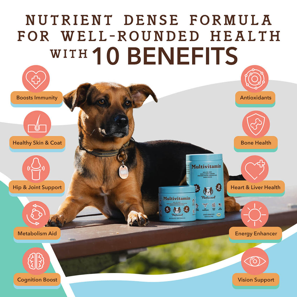 Dog Multivitamin Soft Chews product image 2