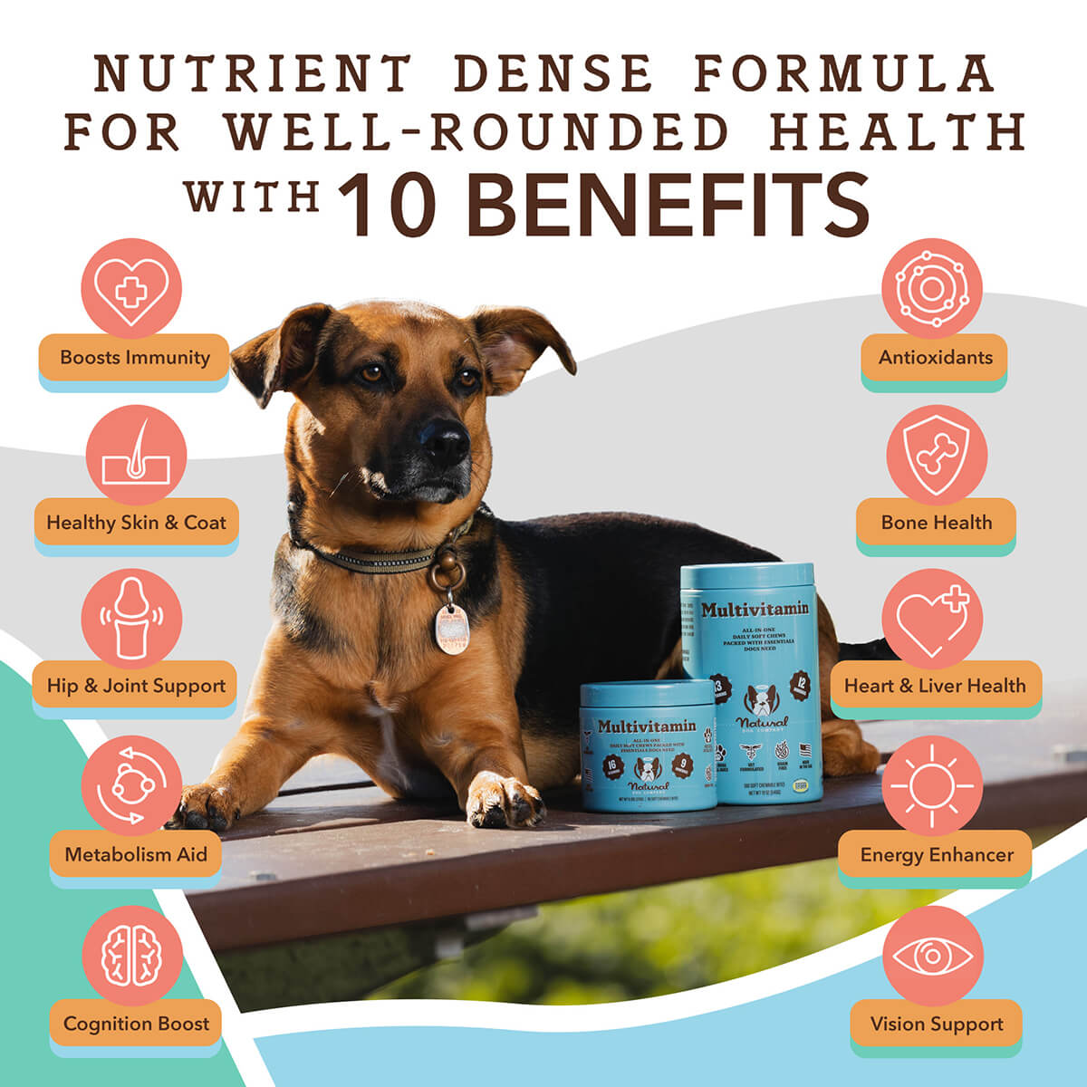 Dog Multivitamin Soft Chews product image 2