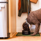 Silicone Dog Bowl Placemat product image 7