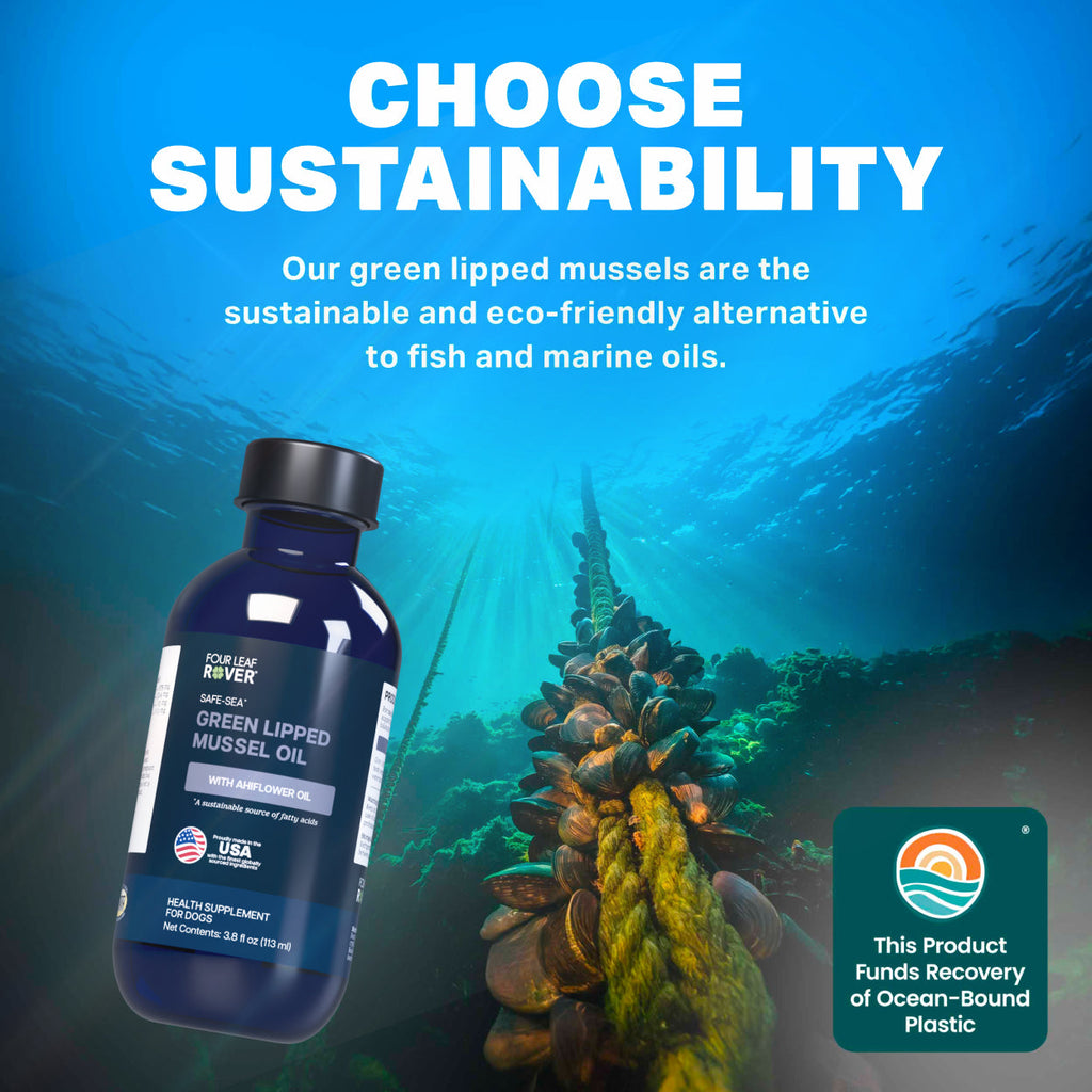 Omega Oil Dog Supplement product image 11