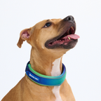 Cushioned Martingale Dog Collar for Gentle Leash Guidance, Limited-Cinch Design in Five Sizes source image 30