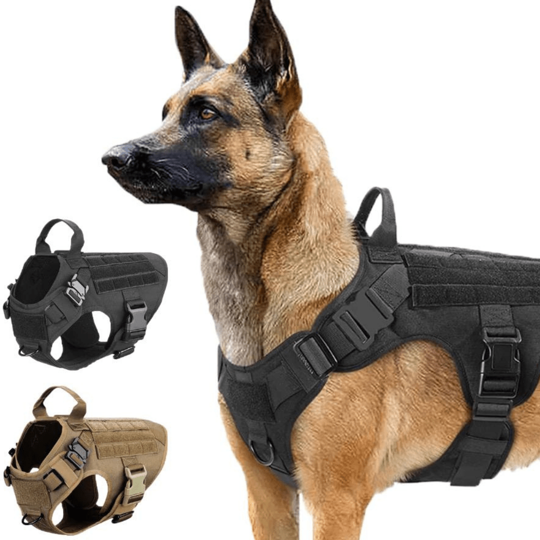 Heavy-Duty Tactical No-Pull Dog Harness with Dual D-Ring Control and Quick-Release Metal Buckles product image 30