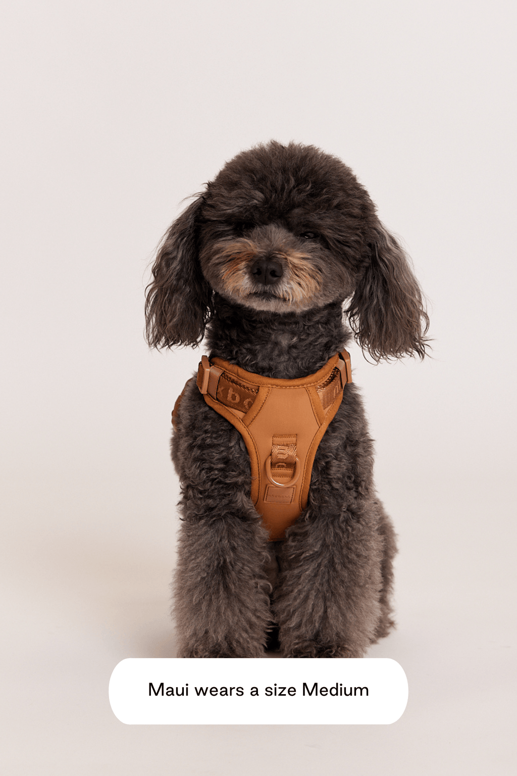 Hands-Free Dog Walking Set for Waist or Shoulder Wear, Neoprene Harness and Compact Pouch Bundle source image 30