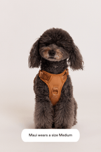 Hands-Free Dog Walking Set for Waist or Shoulder Wear, Neoprene Harness and Compact Pouch Bundle source image 30