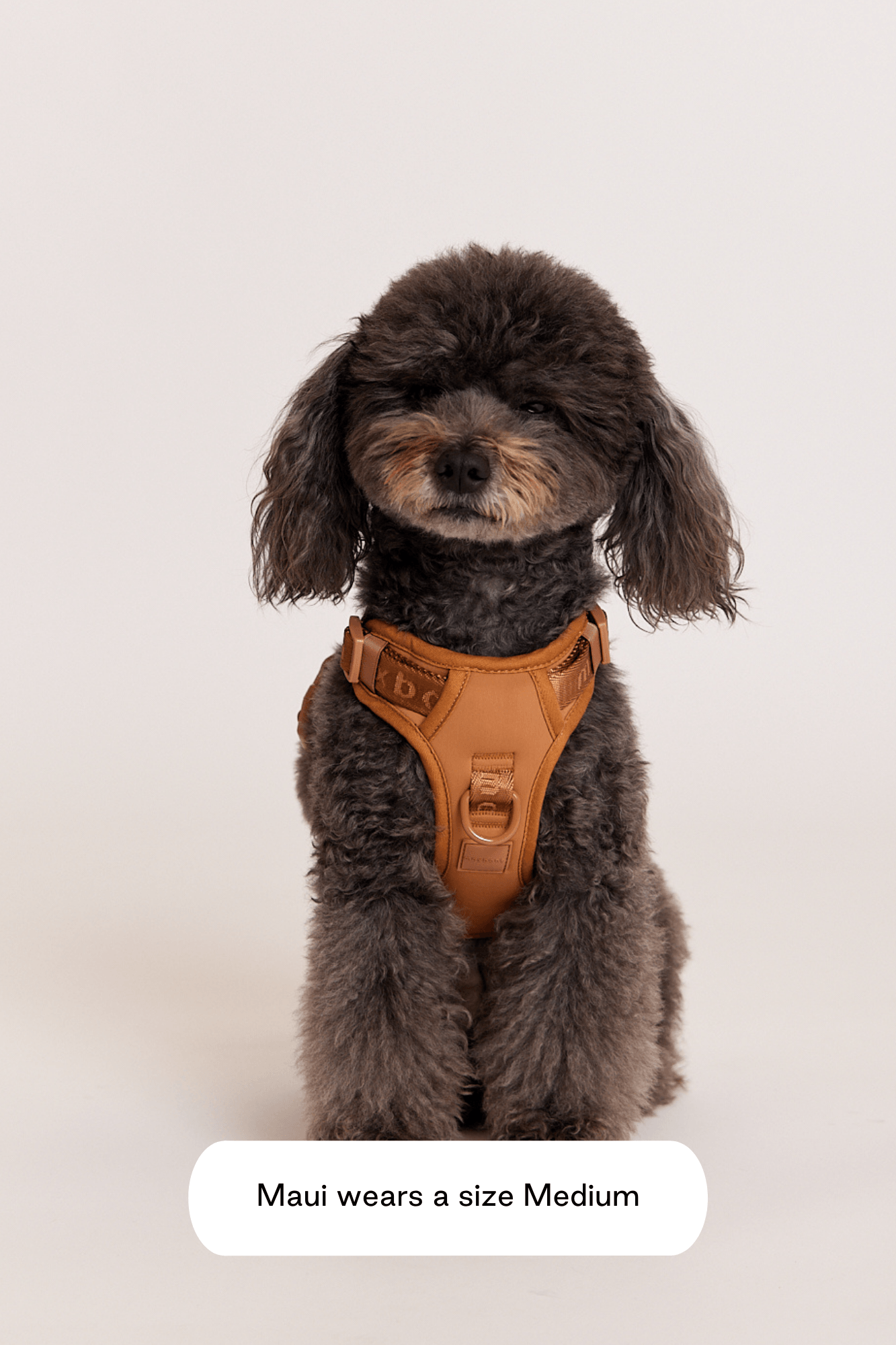 Hands-Free Dog Walking Set for Waist or Shoulder Wear, Neoprene Harness and Compact Pouch Bundle source image 30