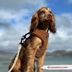 Adjustable Neck Dog Harness in Teddy Texture, Lightweight Walking Vest for XXS to Large Dogs source image 30