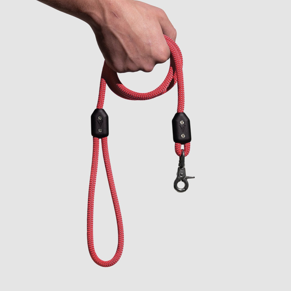 Climbing Rope Dog Leash with Stainless Steel Swivel Clip for Daily 5- or 8-Foot Walks and Trail Outings product image 30