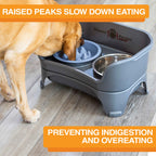 Slow Feeder Dog Bowl, Nine-Peak Non-Skid Two-Cup Design for Flat-Faced and Fast-Eating Dogs source image 30