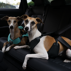 Crash-Tested Dog Car Safety Harness product image 30