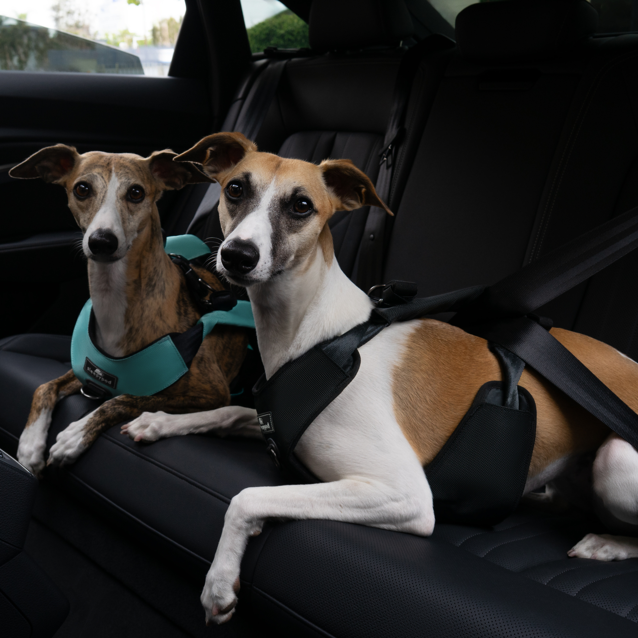 Crash-Tested Dog Car Safety Harness product image 30