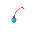 Foam Dog Ball with Grip Strap product image 30