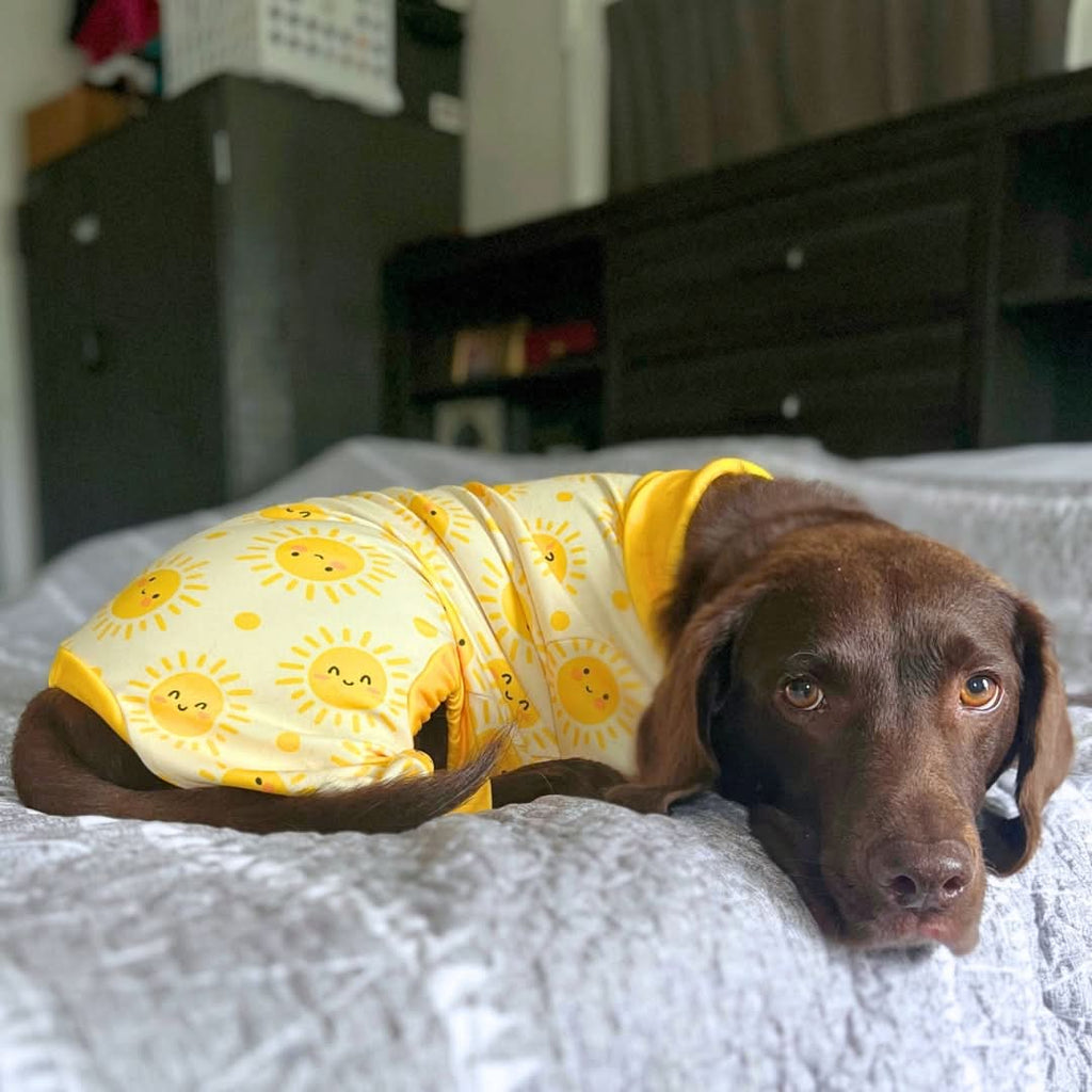 Dog Pajamas product image 30
