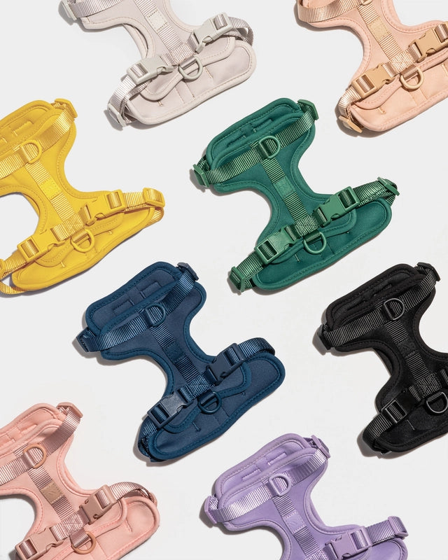 Dog Harness product image 30