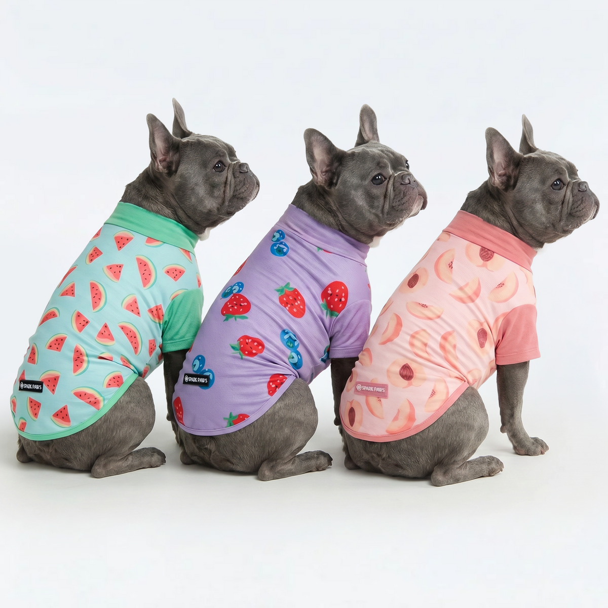 UPF 30 Dog Sun Shirt product image 24