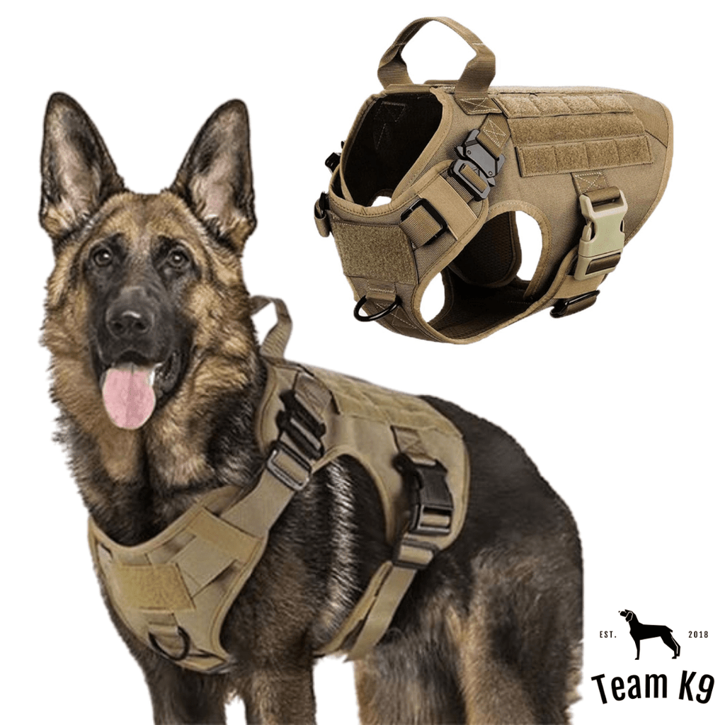 Heavy-Duty Tactical No-Pull Dog Harness with Dual D-Ring Control and Quick-Release Metal Buckles product image 31