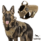 Heavy-Duty Tactical No-Pull Dog Harness with Dual D-Ring Control and Quick-Release Metal Buckles product image 31