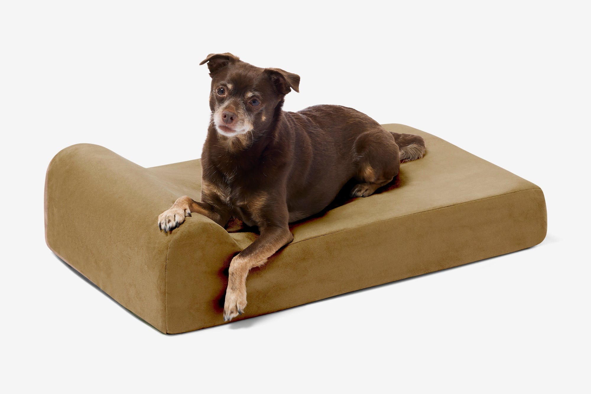 Orthopedic Dog Bed for Small and Medium Dogs, 4-Inch Layered Foam in Headrest and Sofa Styles source image 31
