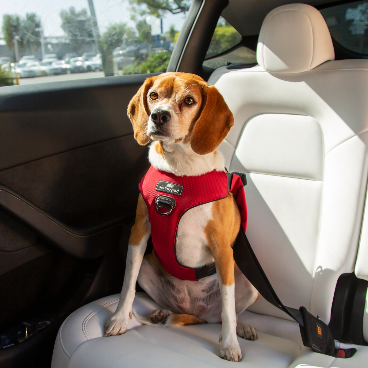 Crash-Tested Dog Car Safety Harness product image 31