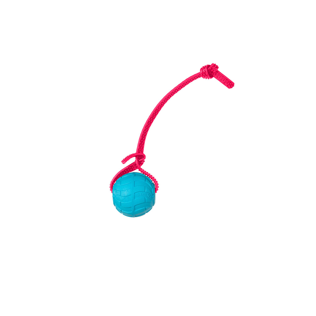 Foam Dog Ball with Grip Strap product image 31