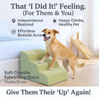Pet Steps product image 31