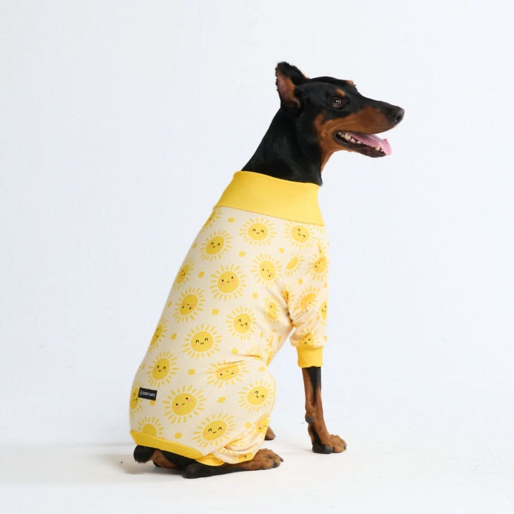 Dog Pajamas product image 31