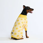 Dog Pajamas product image 31