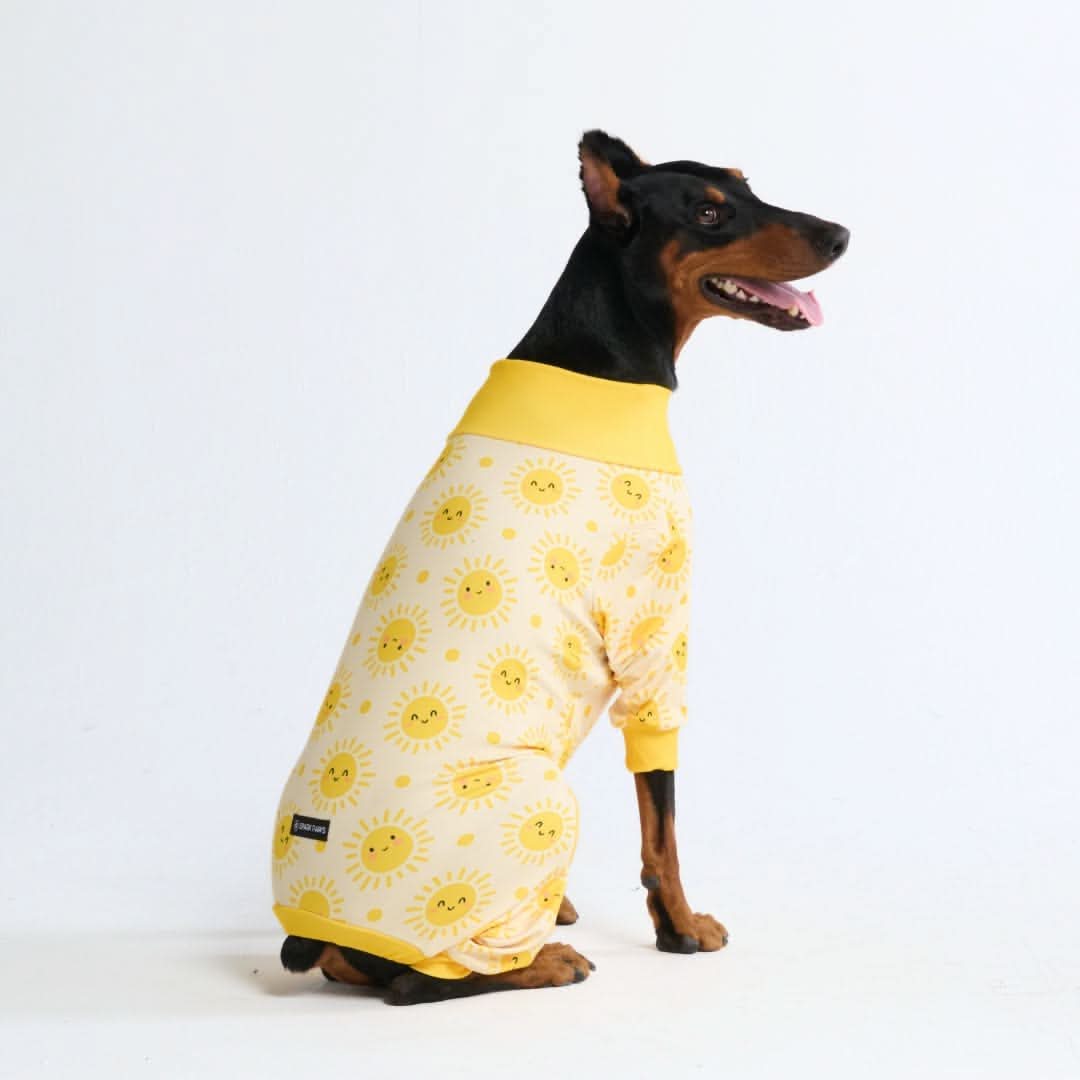 Dog Pajamas product image 31