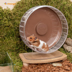 Super-Silent Hamster Exercise Wheel with Adjustable Height and Dual-Bearing Spinner in Four Sizes source image 32