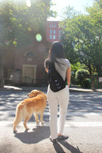 Waterproof Dog Walking Shoulder Bag, Organized Treat and Waste Storage for Training and Daily Outings source image 32