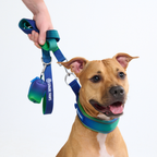 Cushioned Martingale Dog Collar for Gentle Leash Guidance, Limited-Cinch Design in Five Sizes source image 32