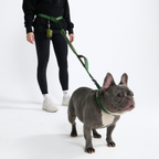 Hands-Free Dog Leash and Waste Bag Holder Set, Bungee Control and Dual Handles for Everyday Walks source image 32