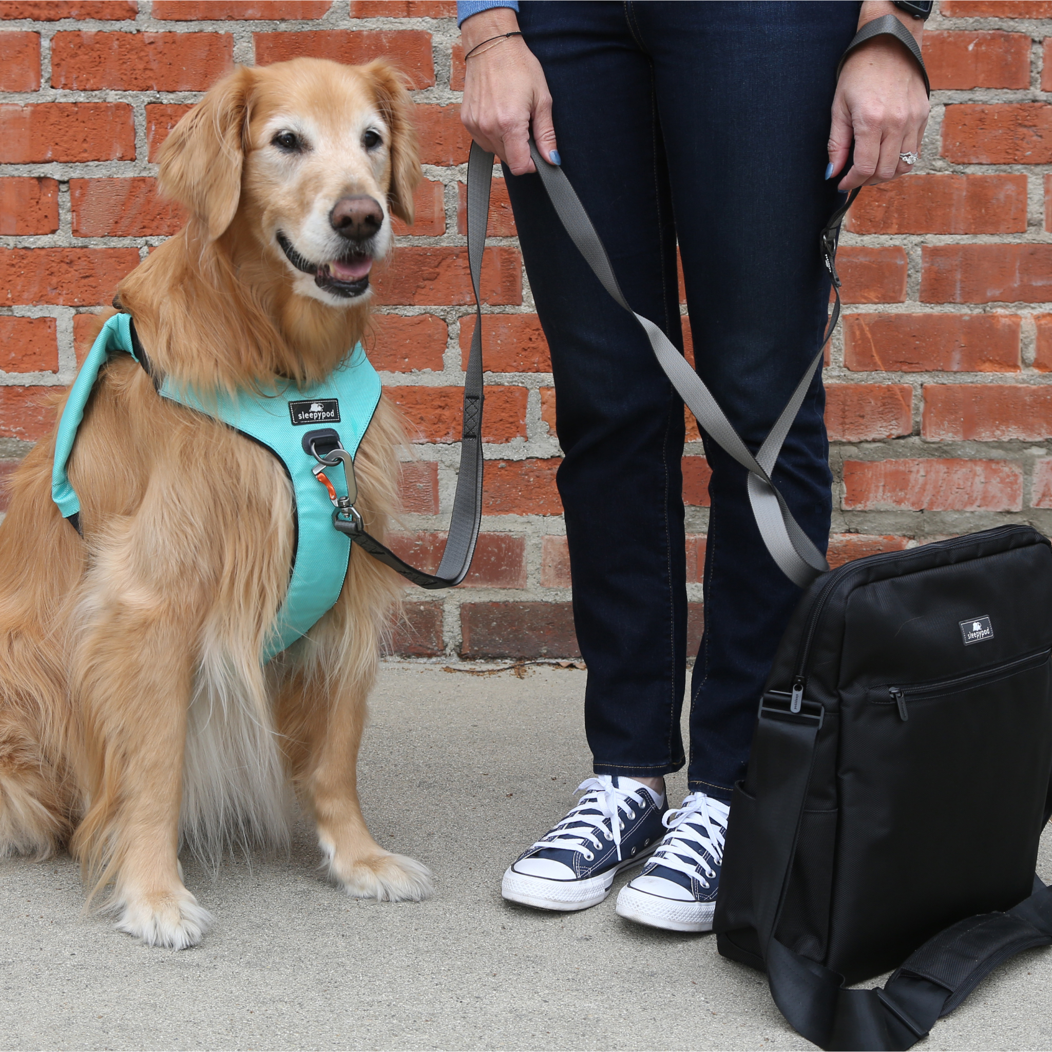 Crash-Tested Dog Car Safety Harness product image 32