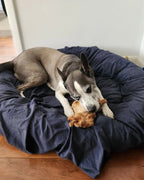 Dog Chew Toy product image 32