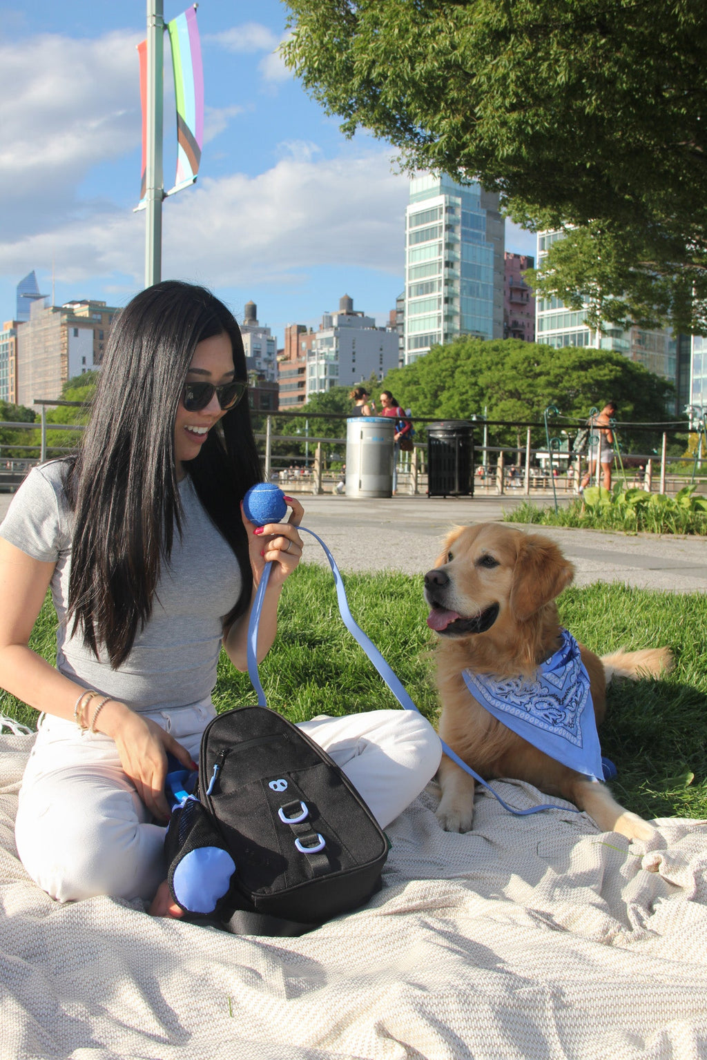 Waterproof Dog Walking Shoulder Bag, Organized Treat and Waste Storage for Training and Daily Outings source image 33