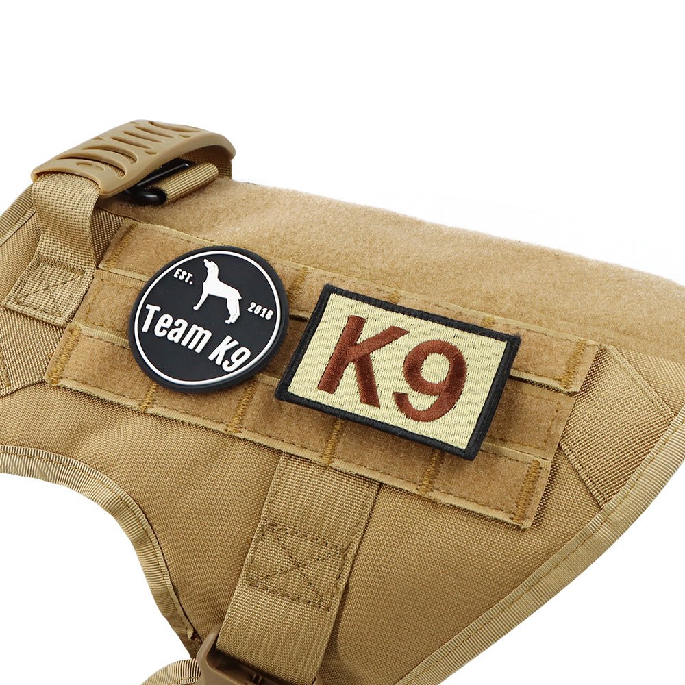 Heavy-Duty Tactical No-Pull Dog Harness with Dual D-Ring Control and Quick-Release Metal Buckles product image 33