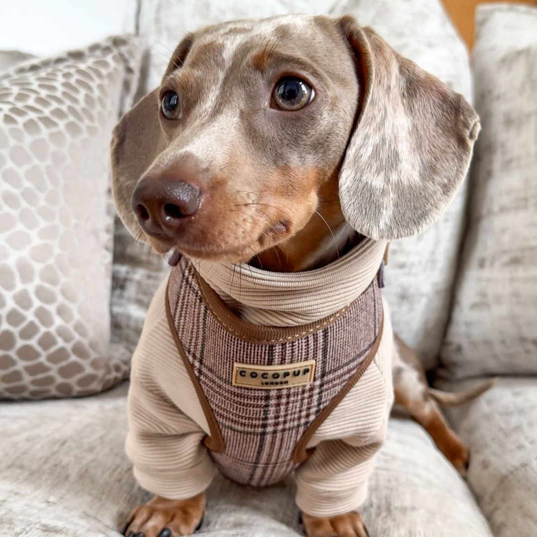 Adjustable Plaid Dog Harness for Comfortable Walks, Lightweight Polyester Design in Five Sizes source image 33