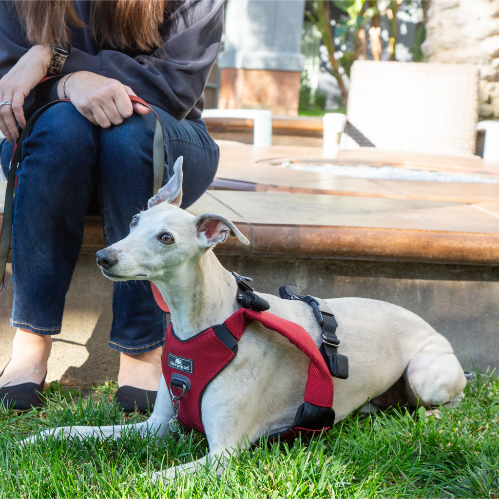 Crash-Tested Dog Car Safety Harness product image 33